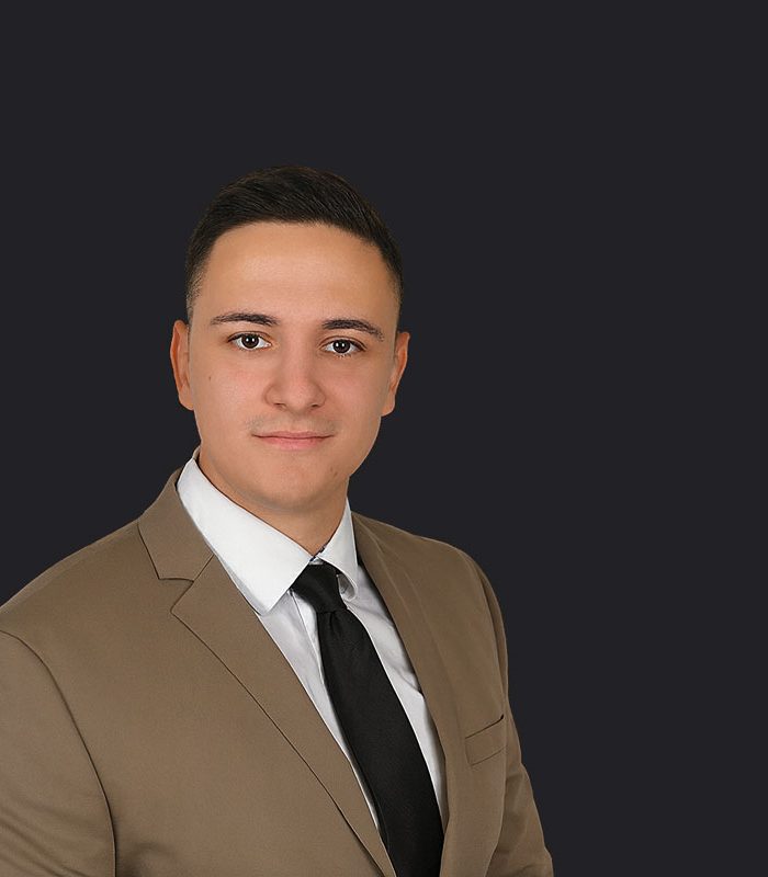 dominik draskovic web